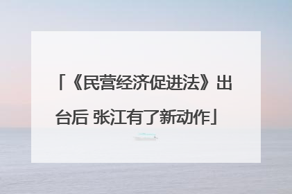 《民营经济促进法》出台后 张江有了新动作