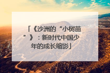 《沙洲的“小树苗”》：新时代中国少年的成长缩影