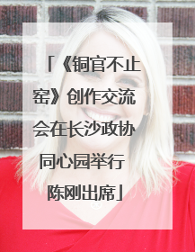 《铜官不止窑》创作交流会在长沙政协同心园举行 陈刚出席