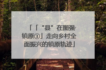 「“县”在图强·镇原③」走向乡村全面振兴的镇原轨迹