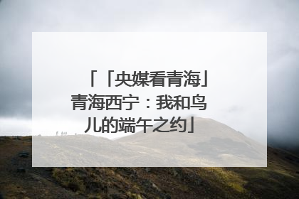 「央媒看青海」青海西宁：我和鸟儿的端午之约