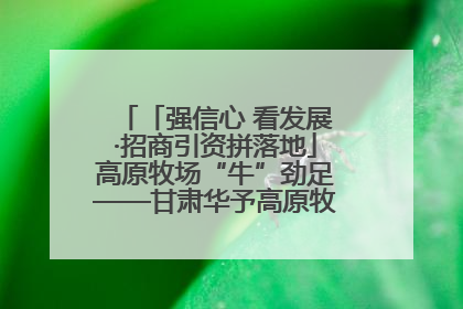 「强信心 看发展·招商引资拼落地」高原牧场“牛”劲足——甘肃华予高原牧场高标准奶牛肉牛养殖项目一线见闻