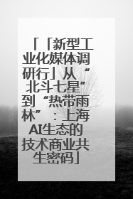 「新型工业化媒体调研行」从“北斗七星”到“热带雨林”：上海AI生态的技术商业共生密码