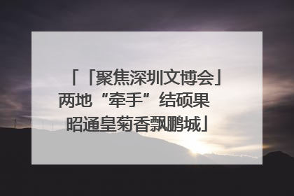 「聚焦深圳文博会」两地“牵手”结硕果 昭通皇菊香飘鹏城