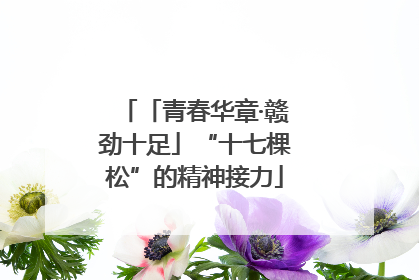 「青春华章·赣劲十足」“十七棵松”的精神接力