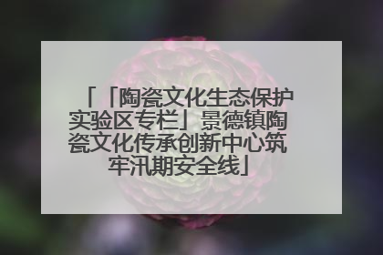 「陶瓷文化生态保护实验区专栏」景德镇陶瓷文化传承创新中心筑牢汛期安全线