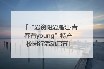 “爱资阳爱雁江·青春有young”特产校园行活动启幕