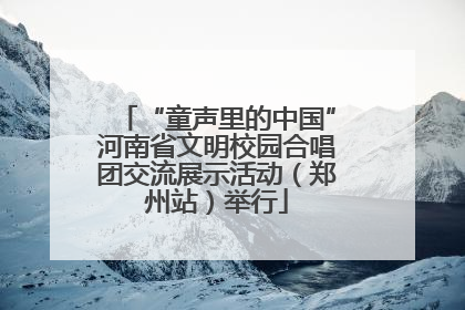 “童声里的中国”河南省文明校园合唱团交流展示活动（郑州站）举行