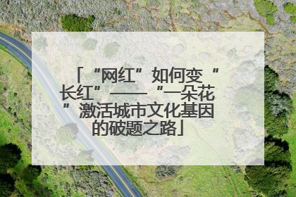 “网红”如何变“长红”——“一朵花”激活城市文化基因的破题之路