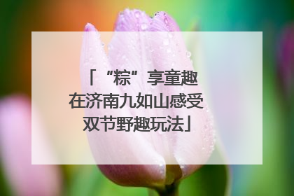 “粽”享童趣 在济南九如山感受双节野趣玩法