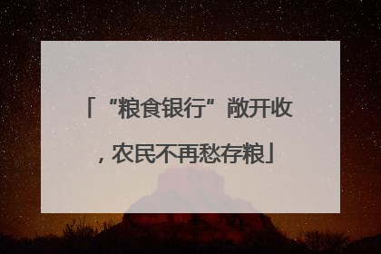 “粮食银行”敞开收，农民不再愁存粮