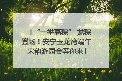 “一举高粽” 龙粽登场！安宁玉龙湾端午宋韵游园会等你来