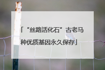 “丝路活化石”古老马种优质基因永久保存