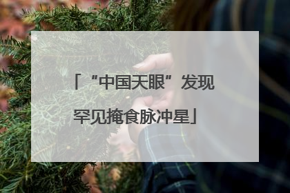 “中国天眼”发现罕见掩食脉冲星