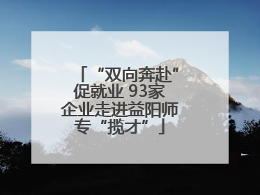 “双向奔赴”促就业 93家企业走进益阳师专“揽才”
