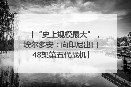“史上规模最大”，埃尔多安：向印尼出口48架第五代战机