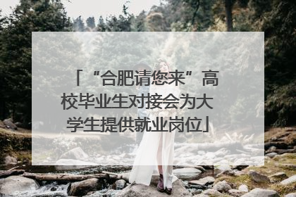 “合肥请您来”高校毕业生对接会为大学生提供就业岗位