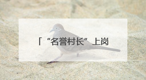 “名誉村长”上岗 直播基地落地
