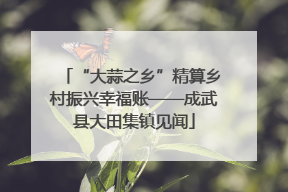 “大蒜之乡”精算乡村振兴幸福账——成武县大田集镇见闻