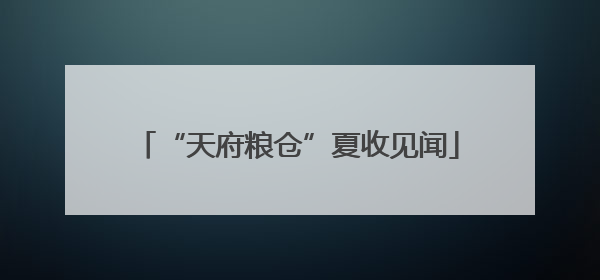 “天府粮仓”夏收见闻