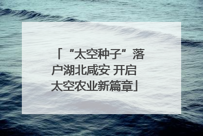 “太空种子”落户湖北咸安 开启太空农业新篇章