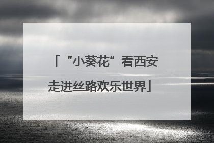 “小葵花”看西安走进丝路欢乐世界