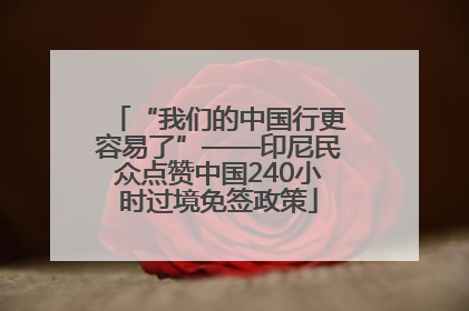 “我们的中国行更容易了”——印尼民众点赞中国240小时过境免签政策