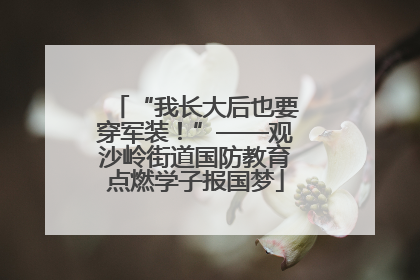 “我长大后也要穿军装！”——观沙岭街道国防教育点燃学子报国梦