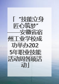 “技能立身 匠心筑梦”——安徽省宿州工业学校成功举办2025年职业技能活动周各项活动