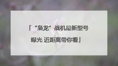 “枭龙”战机最新型号曝光 近距离带你看