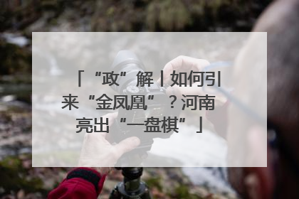 “政”解丨如何引来“金凤凰”？河南亮出“一盘棋”
