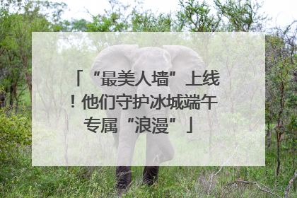 “最美人墙”上线！他们守护冰城端午专属“浪漫”
