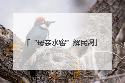 “母亲水窖”解民渴