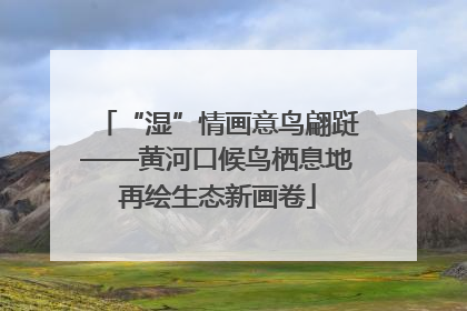 “湿”情画意鸟翩跹——黄河口候鸟栖息地再绘生态新画卷