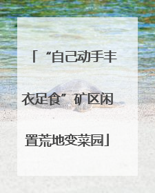“自己动手丰衣足食”矿区闲置荒地变菜园