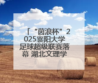“茵浪杯”2025襄阳大学足球超级联赛落幕 湖北文理学院成功卫冕