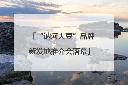 “讷河大豆”品牌新发地推介会落幕