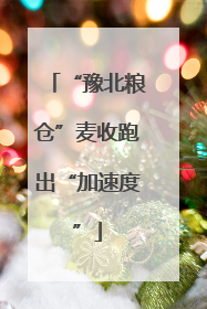 “豫北粮仓”麦收跑出“加速度”