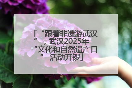 “跟着非遗游武汉”，武汉2025年“文化和自然遗产日” 活动开锣