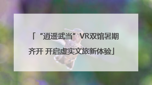 “逍遥武当”VR双馆暑期齐开 开启虚实文旅新体验