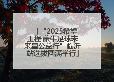 “2025希望工程·蒙牛足球未来星公益行”临沂站选拔圆满举行