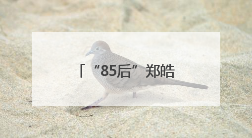 “85后”郑皓元拟提名为辽宁地级市县（市、区）长候选人