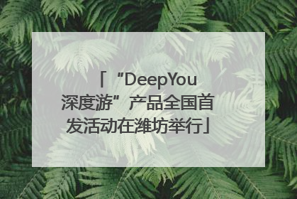 “DeepYou深度游”产品全国首发活动在潍坊举行