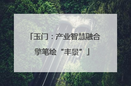 玉门：产业智慧融合 擎笔绘“丰景”