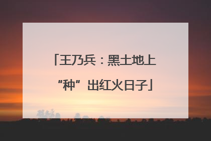 王乃兵：黑土地上“种”出红火日子