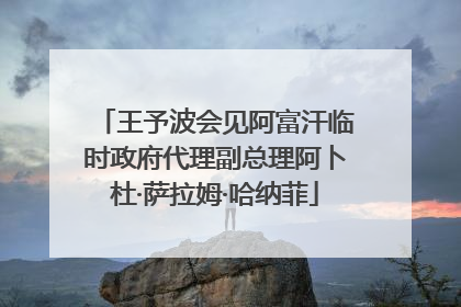 王予波会见阿富汗临时政府代理副总理阿卜杜·萨拉姆·哈纳菲
