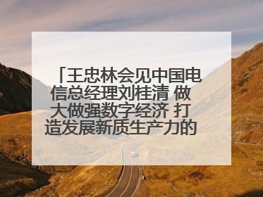 王忠林会见中国电信总经理刘桂清 做大做强数字经济 打造发展新质生产力的强劲引擎