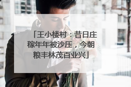 王小楼村：昔日庄稼年年被沙压，今朝粮丰林茂百业兴