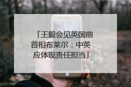 王毅会见英国前首相布莱尔：中英应体现责任担当