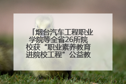 烟台汽车工程职业学院等全省26所院校获“职业素养教育进院校工程”公益教学点集中授牌